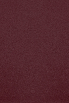 Жилет "Мейт" бордовый, эко-кожа