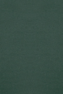 Жилет "Мейт" изумрудный, эко-кожа