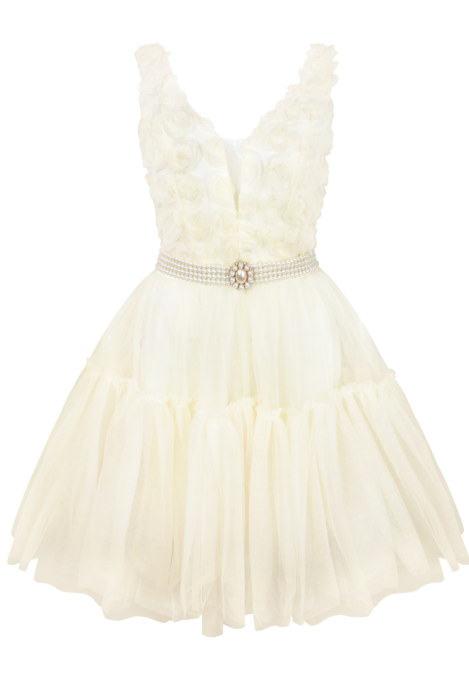 Платье-пачка "Жанмари" шампань, нюдовое, кремовое, объемные розы, мини