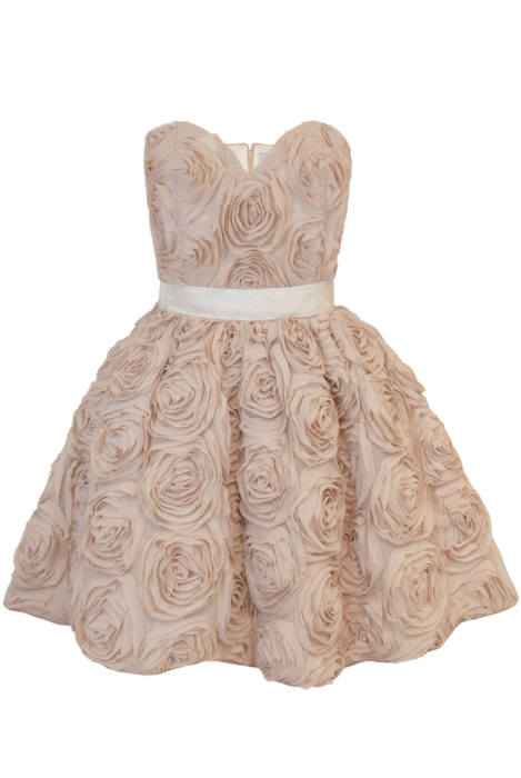 Корсетное Платье "Андрэ", Мини, Пышное, Объемные розы, Нюдовое